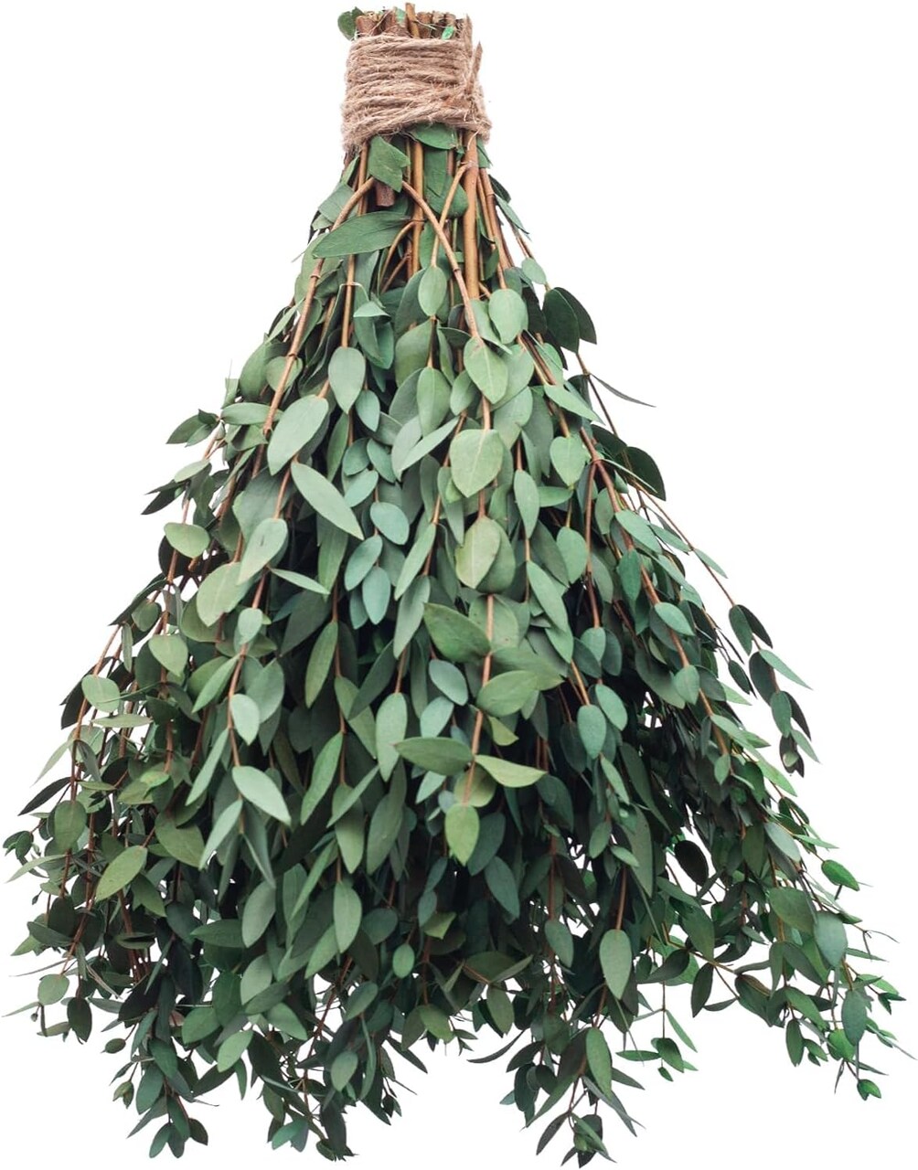 Large Dried Eucalyptus Stems - Real Preserved Fresh Eucalyptus Plant for Arrangement